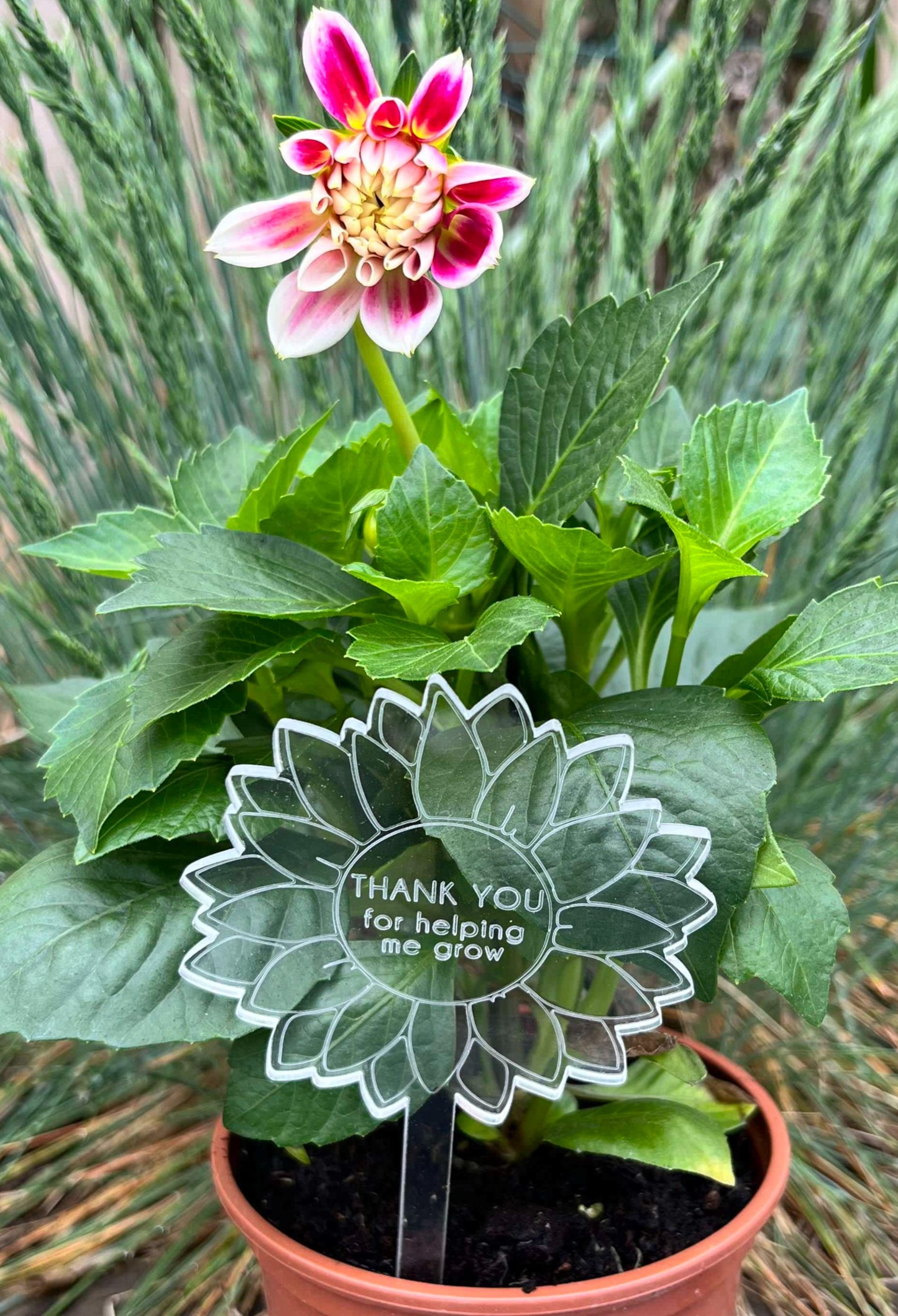 ‘Thank you for helping me grow' plant pick/bookmark