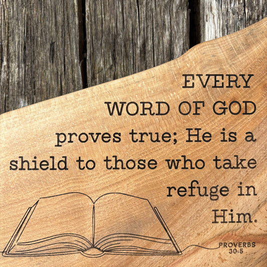 'Every word of God proves true' decorative beech plaque