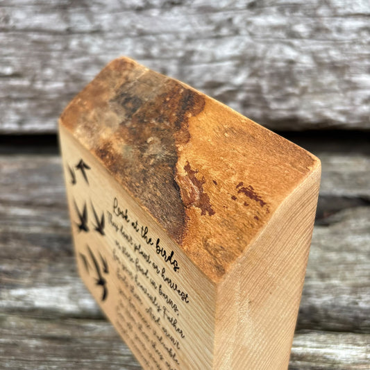 'Can all your worries add a single moment' live edge decorative plaque